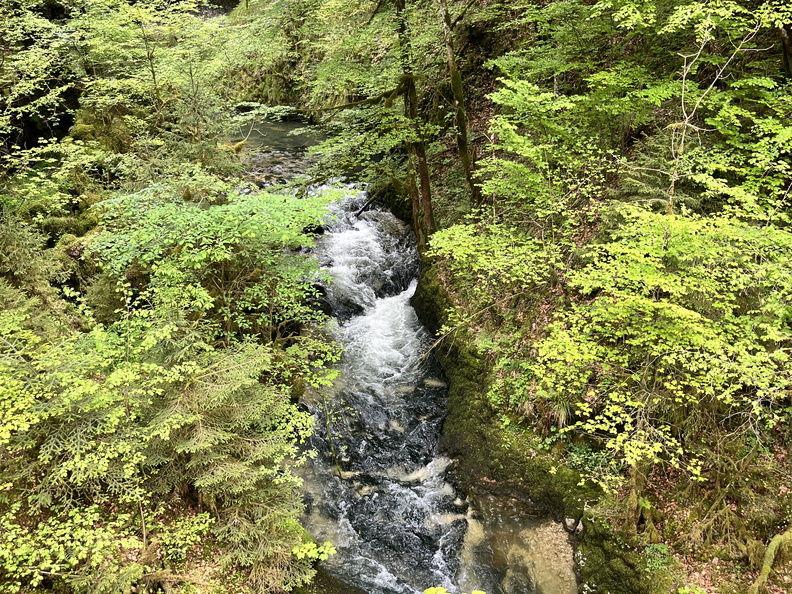 23-05-19 15-54-49 5468